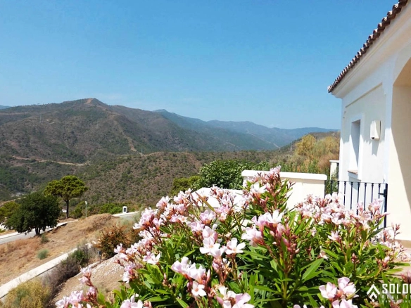 Bright Mansion with the Beautiful Swimming Pool in Benahavís – Costa del Sol – Marbella – Málaga – Spain